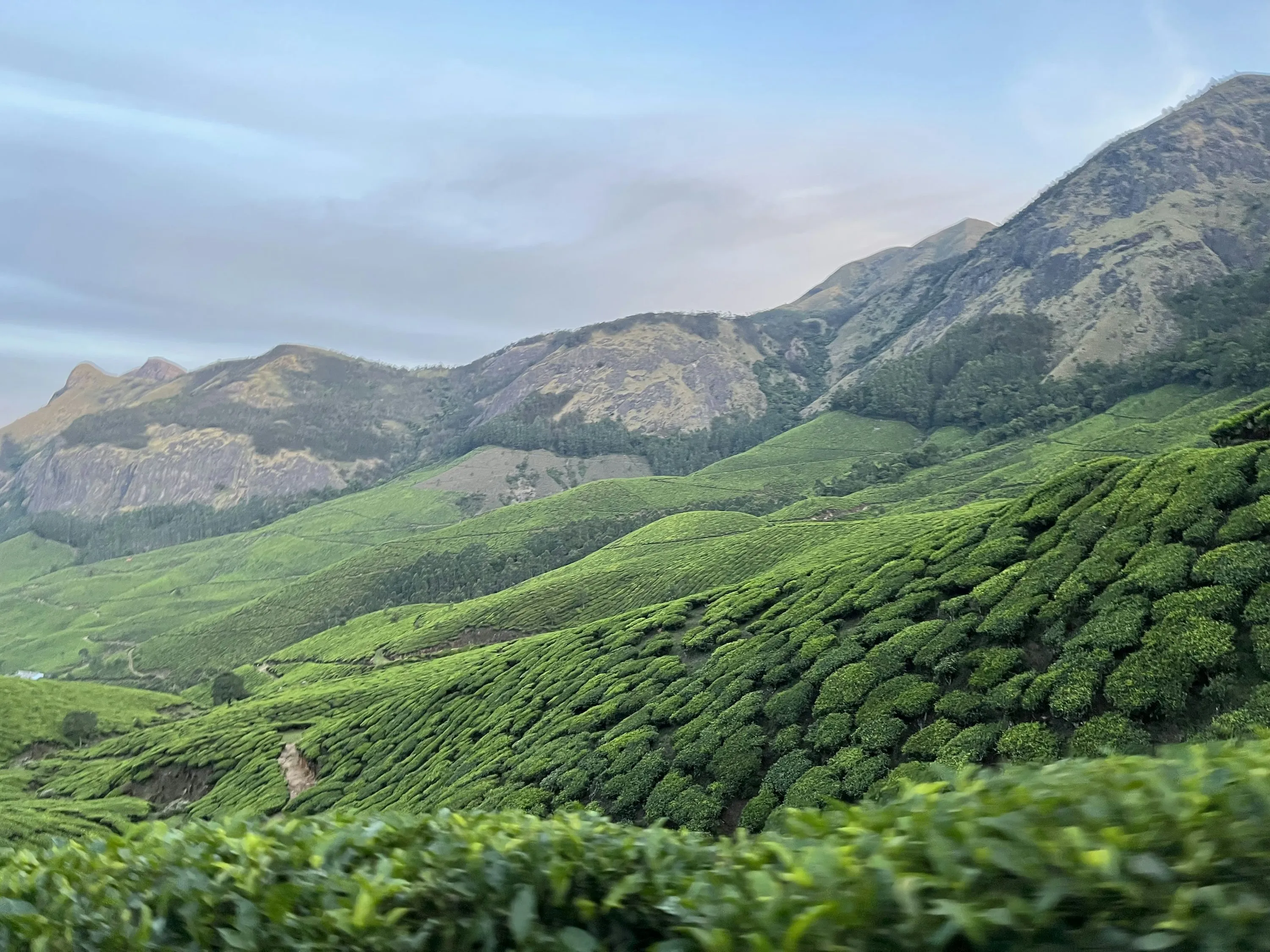 云南茶山全景风光 - 91黑料